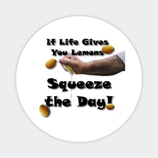 Life's Lemons Magnet